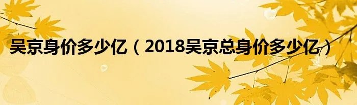 吴京身价多少亿(2018吴京总身价多少亿)