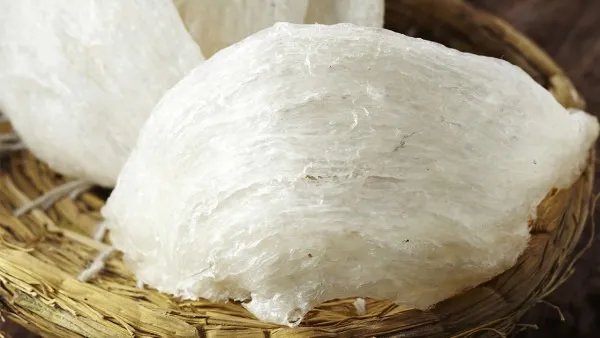 燕窝的功效与作用及营养 燕窝什么季节吃效果最好？