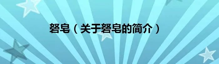 砮皂（关于砮皂的简介）
