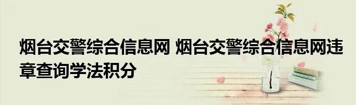 烟台交警综合信息网 烟台交警综合信息网违章查询学法积分