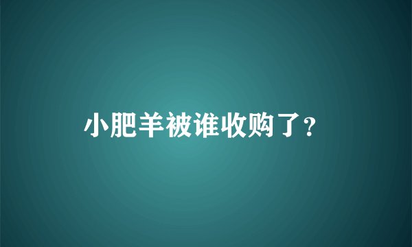 小肥羊被谁收购了？