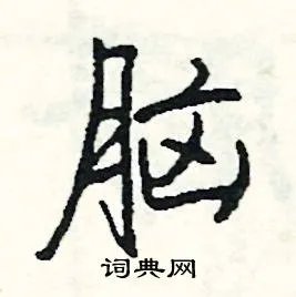 脑组词_脑字怎么组词_脑组词有哪些_带脑字的词语