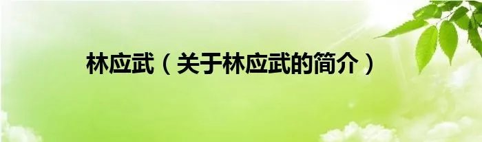 林应武（关于林应武的简介）