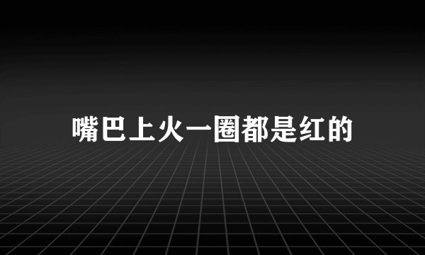 嘴巴上火一圈都是红的
