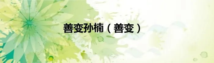 善变孙楠（善变）