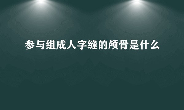 参与组成人字缝的颅骨是什么