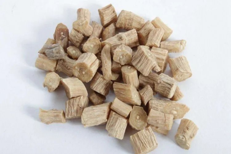 牛膝全草图片