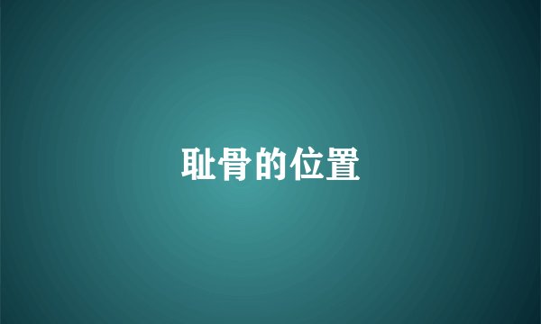耻骨的位置