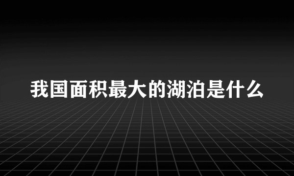 我国面积最大的湖泊是什么
