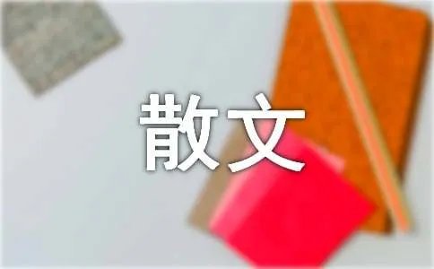 波贝尔随笔散文