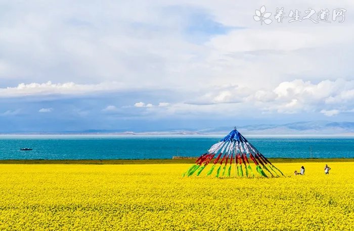 兰蔻摇摇染唇液多少钱？兰蔻摇摇染唇液专柜价格[图]