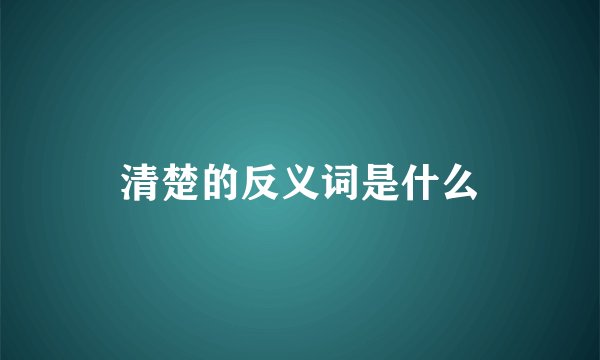 清楚的反义词是什么