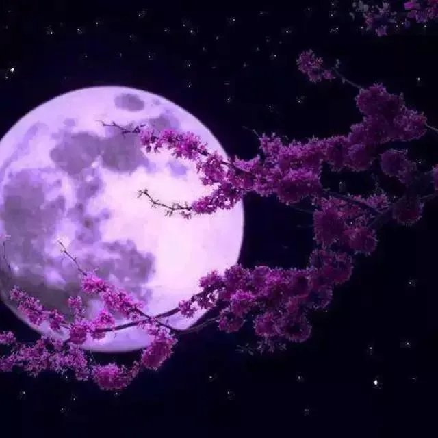 有哪些小清新歌曲推荐?
