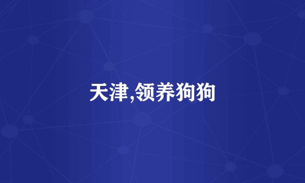 天津,领养狗狗