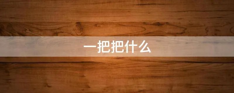 一把把什么
