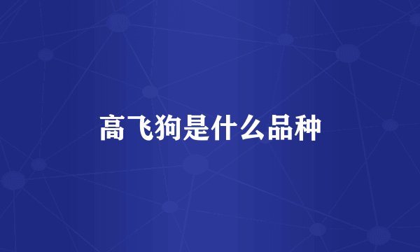 高飞狗是什么品种