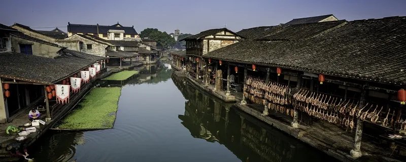 浙d是哪里的车牌 浙d是哪里的车牌号码