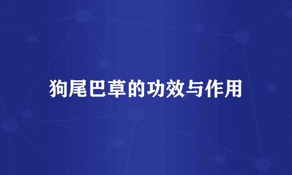 狗尾巴草的功效与作用