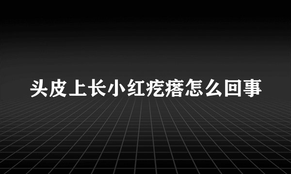 头皮上长小红疙瘩怎么回事