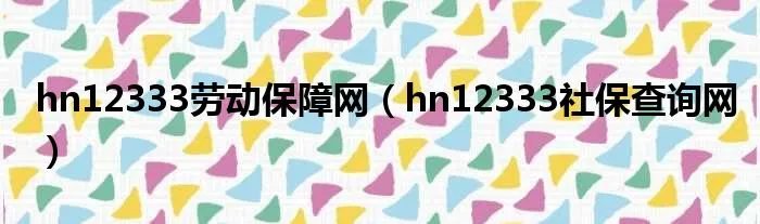 hn12333劳动保障网(hn12333社保查询网)