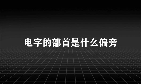 电字的部首是什么偏旁