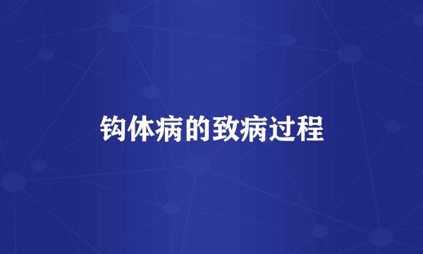 钩体病的致病过程