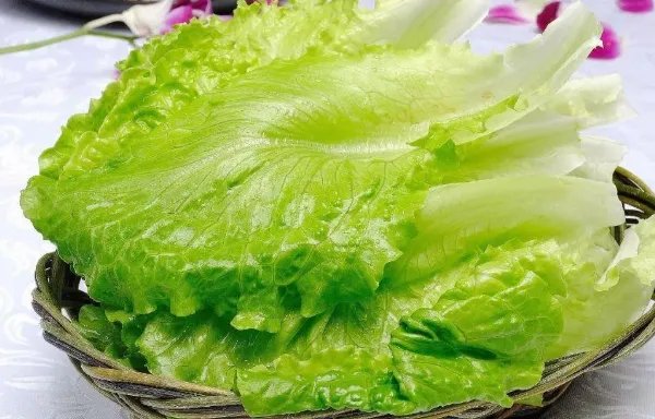 生菜的英语单词是什么?