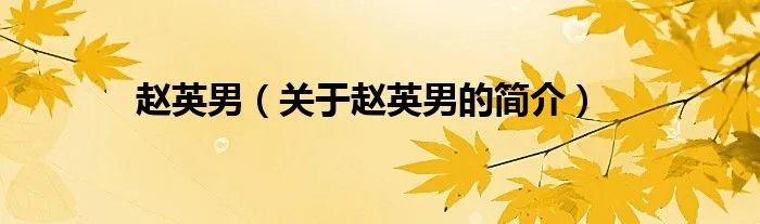 赵英男（关于赵英男的简介）