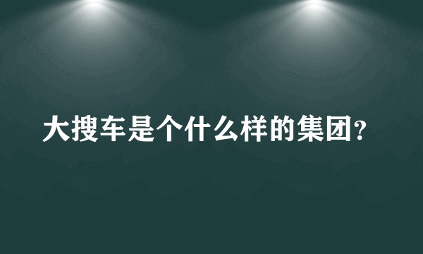 大搜车是个什么样的集团？