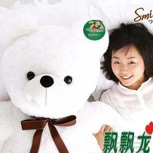 泰迪熊的图片