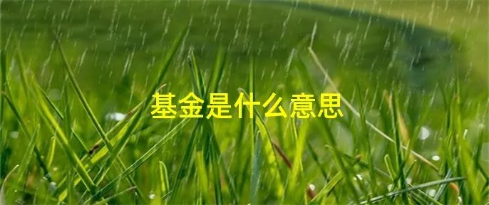 基金是什么意思
