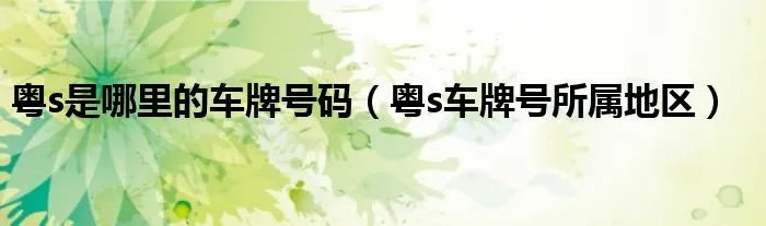 粤s是哪里的车牌号码（粤s车牌号所属地区）
