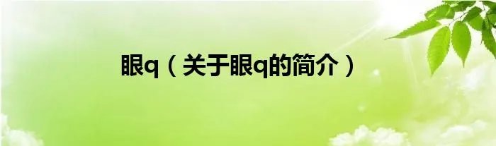 眼q（关于眼q的简介）