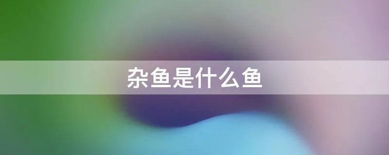 杂鱼是什么鱼