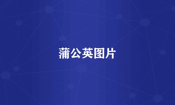 蒲公英图片