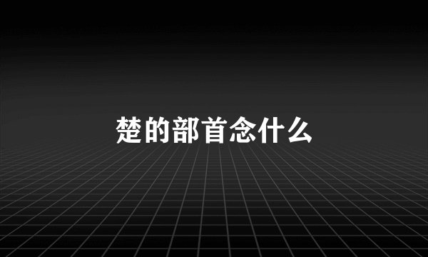 楚的部首念什么
