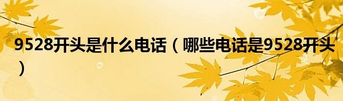9528开头是什么电话(哪些电话是9528开头)