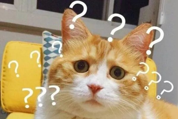 wtf什么意思