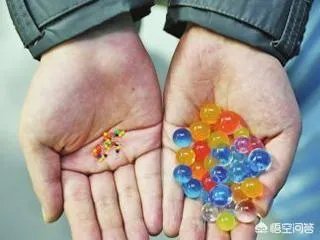 水宝宝是什么