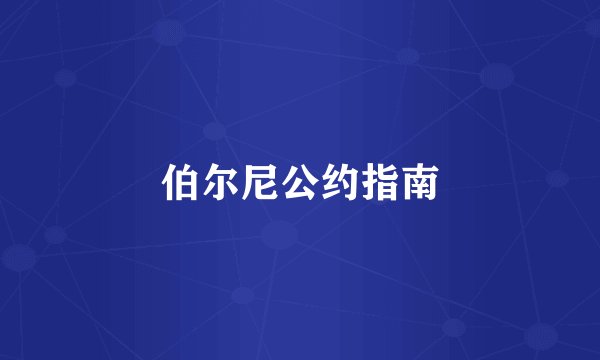 伯尔尼公约指南
