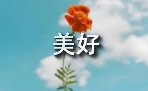 美好的反义词是什么