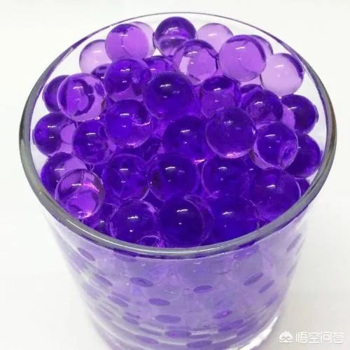 水宝宝是什么