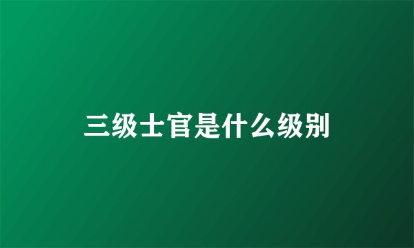 三级士官是什么级别