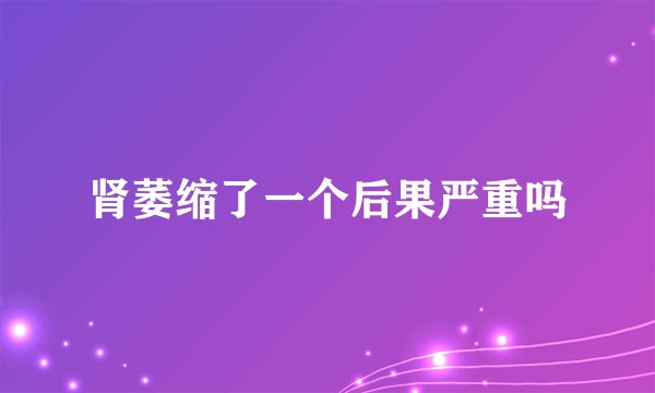 肾萎缩了一个后果严重吗