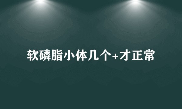 软磷脂小体几个+才正常