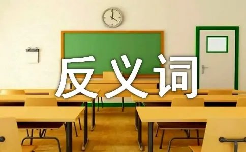 特别的反义词是什么