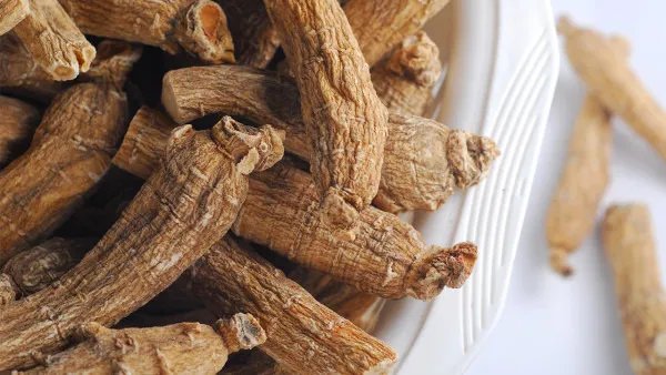 巴戟天的功效