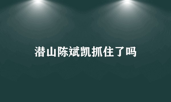 潜山陈斌凯抓住了吗
