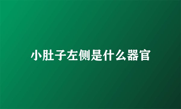 小肚子左侧是什么器官