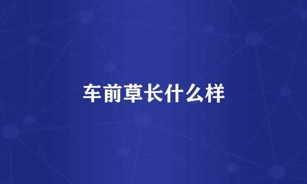 车前草长什么样